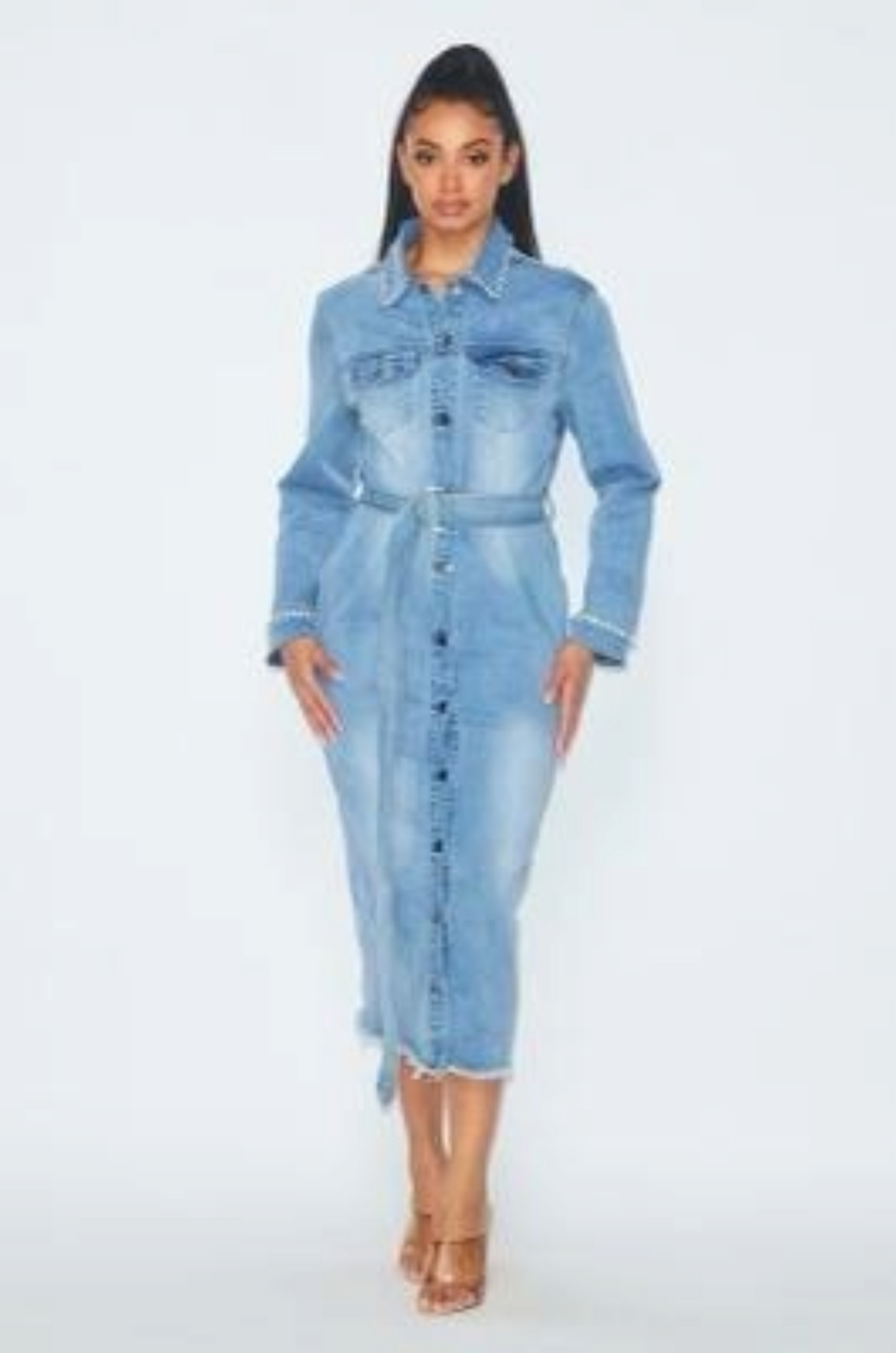 Sanaii Denim Dress