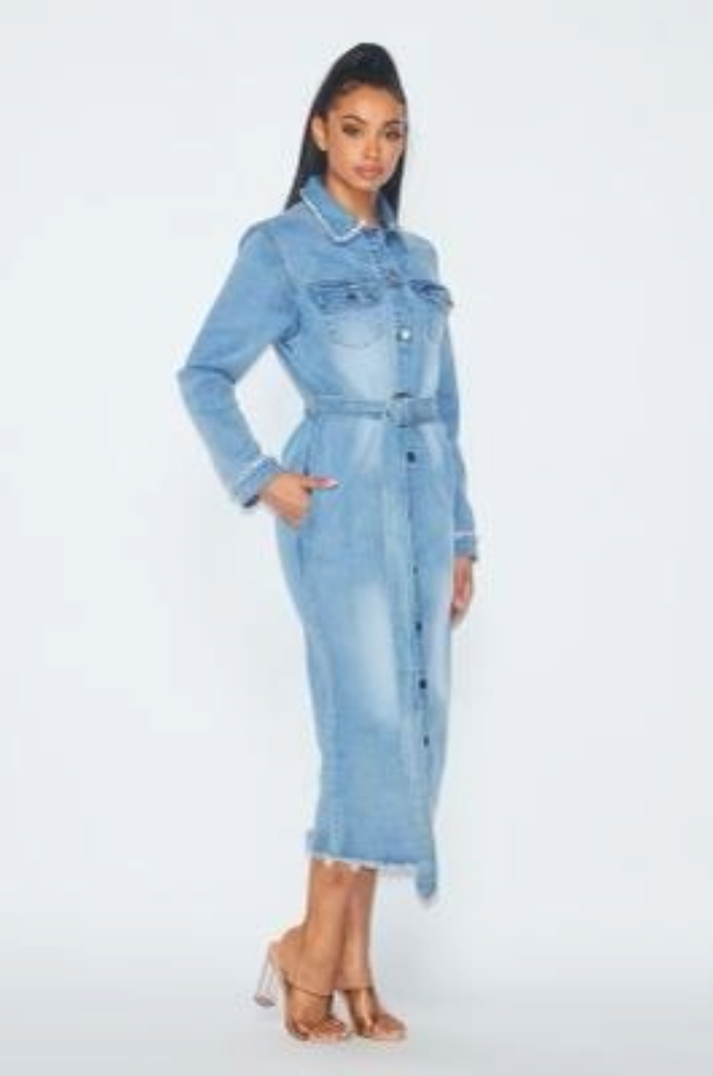 Sanaii Denim Dress